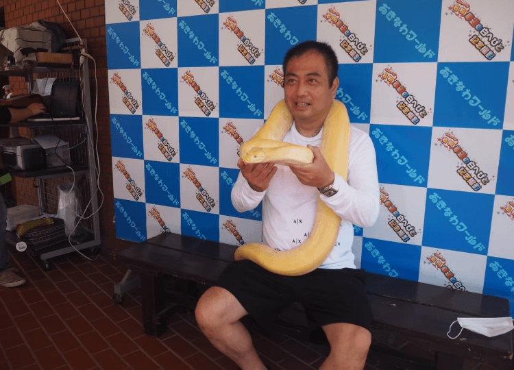 フォトギャラリー